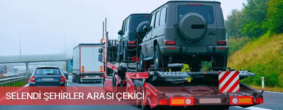 Selendi İlçemi Şehirler Arası Çekici